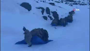 Şırnak'ta çiftçilerin karda mesaisi sürüyor