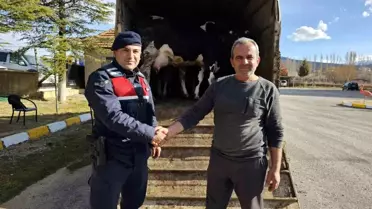 Konya'da 300 bin lira değerinde büyükbaş hayvan çalan şüpheli tutuklandı