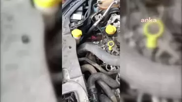 Sinop'ta Aracın Motoruna Sıkışan Sansar İtfaiye Ekiplerince Kurtarıldı