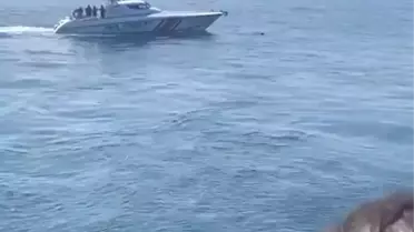 Marmara Denizi'nde feribottan atlayan yolcuyu Sahil Güvenlik kurtardı