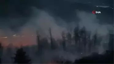 İtalya'da orman yangını: Alevler evlere yaklaştıİspanya'da 4 bin 900 hektardan fazla alan küle döndü