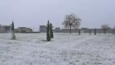 Diyarbakır'da kar yağışı etkili oldu (2)