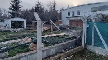 Mahalle arasındaki hayvanat bahçesi yıkıldı
