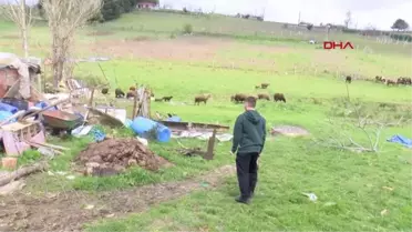 ARNAVUTKÖY'DE GECEKONDU YANGINI AHIRADA SIÇRADI 20 HAYVAN KURTARILDI
