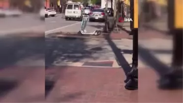 ABD'de bankaya silahlı saldırı: 5 ölü, 6 yaralı