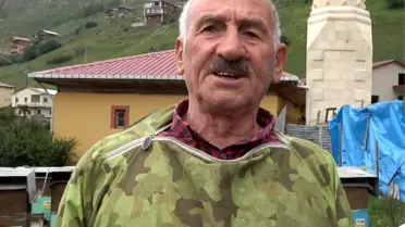 Evini talan eden ayıya 'Helal olsun' dedi