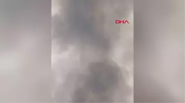 DİKKUYRUK ÖRDEKLERİNİN ÜREME ALANI SAZLIK YANDI