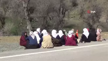 Tunceli'de kaybolan 3 genç için 250 kişilik ekip seferber oldu