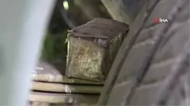 TSK'nın Köpek Eğitim Merkezi'nde Bomba Uzmanı Köpeklerin Eğitimi