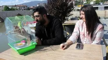 Depremzedelerin kaybettiği muhabbet kuşu aranıyor