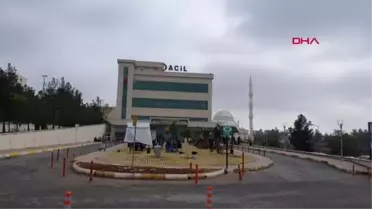 Diyarbakır'da yıldırım düştü: Çoban ağır yaralandı, 5 inek öldü