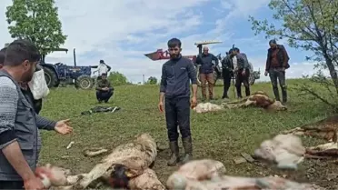 Diyarbakır'da yıldırım düştü: 1 yaralı, 5 inek öldü
