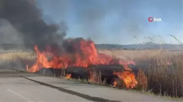 Vanda sazlık yangınları devam ediyor