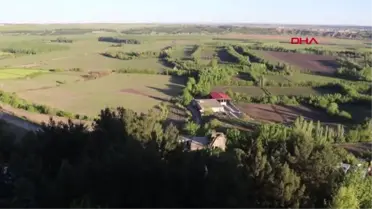 Hevsel Bahçelerinde yaz göçü ile kuş türü sayısı 200'ü aştı
