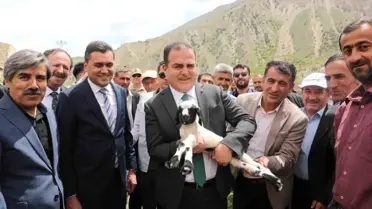 Hakkari'de küçükbaş hayvan dağıtımı yapıldı