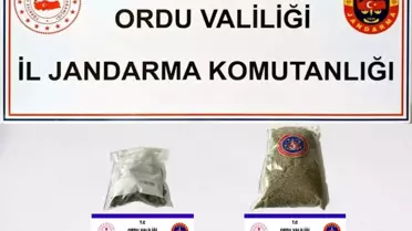 Ordu'da Uyuşturucu Operasyonu: 2 Kişi Gözaltına Alındı