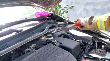 Balıkesir Gömeç'te Motor Bölümüne Giren Zehirli Yılan Panik Yarattı