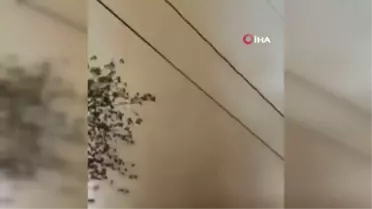 Meksikada korkutan hortum: 4 ev hasar gördü