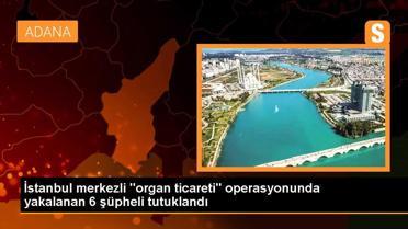 İstanbul merkezli 'organ ticareti' operasyonunda yakalanan 6 şüpheli tutuklandı