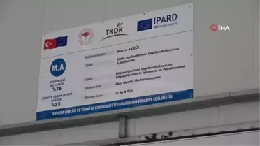 Yozgat'ta üretilen mantar, Karadeniz ve Doğu Anadolu Bölgesi'nin ihtiyacını karşılıyor