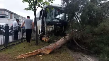 Samsun'da işçi servisi ağaca çarptı: 9 yaralı