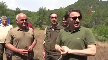 Caretta carettaların yuva çevresine kafes yerleştirildi