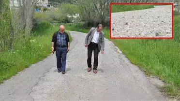 Gümüşhane'nin Şiran ilçesinde tüm köyü istila eden çekirgeler vatandaşı canından bezdirdi