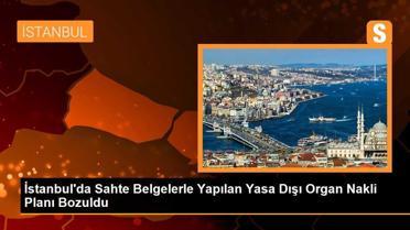 İstanbul'da Sahte Belgelerle Yapılan Organ Nakli Planı Polis Tarafından Bozuldu