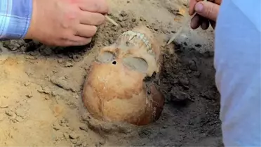 Polonya'da yol çalışması esnasında 450 'vampir' iskeleti bulundu