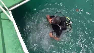 Mersin'de Boğsak Adası çevresinde zengin biyoçeşitliliği gözlendi