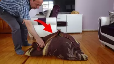 Tokat'ta tarlada bulduğu taş, milyoner olarak anılmasına neden oldu