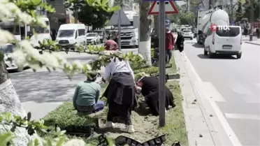 Tatvan'da Kadınlar Tarafından Yürütülen Çiçeklendirme Çalışmaları
