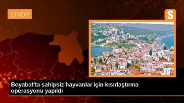 Boyabat'ta sahipsiz hayvanlar için işbirliği