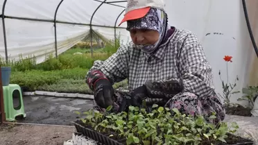 Bursa'da 11 arkadaşın kurduğu firma, tıbbi ve aromatik bitkilerden yağ ve hidrosol üreterek ihracat yapıyor