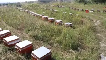 TİKA, Kuzey Makedonya'da arıcılara kovan ve eğitim desteği sağladı