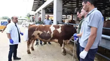 Bursa'da Kurban Yakalama Timleri Hazır Bekliyor