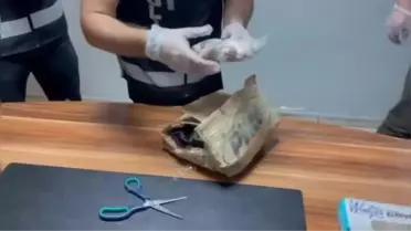 İstanbul'da tarihi eser kaçakçılığı operasyonu: 2 bin 339 eser ele geçirildi