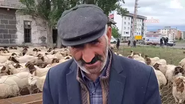 Kars'ta kurban pazarlarında beklenen hareketlilik yaşanmıyor
