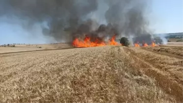 Keşan'da Buğday Ekili Arazide Yangın