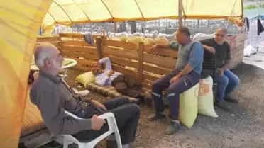Ankara'da Kurbanlıklar Besicilerin Elinde Kaldı: 'Geleli Bir Hafta Oldu, Daha Hiçbir Satış Yapamadık'