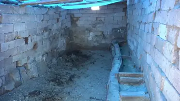 Aksaray'da Kurbanlık Hayvanları Çalınan Aile, Emeklilik Hayallerinin de Çalındığını Söyleyerek Yardım İstedi