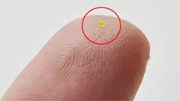 Dünyanın En Küçük Çantası 63 Bin Dolara Satıldı