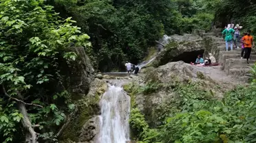 İran'ın Gülistan eyaletinde Kurban Bayramı'nda Hirkani Ormanlarında piknik keyfi