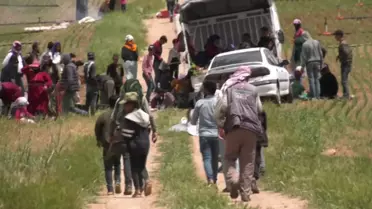 Mevsimlik Tarım İşçisi Çocuk ve Gençler Hayallerinden Uzakta, Tarlalarda Çalışıyor: 'Bir Kız Çocuğumu Okutabildim. Üniversiteyi Bitirdi Ama Benimle...