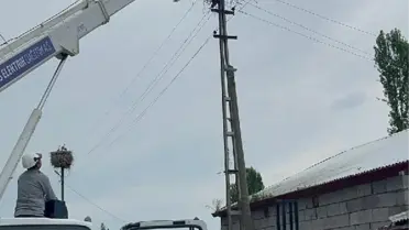 Açlıktan bitkin düşen yavru leylek vinçle kurtarıldı