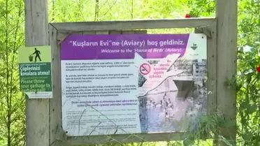 İzmir Doğal Yaşam Parkı'nda 77 Kuş Türü Bulunuyor