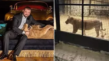 'Çerkez Cengiz'in aslanı, Beykoz'u karıştırdı! Ekipler güçlükle yakaladı