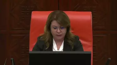 CHP'li Arpacı: 'Ülkeden Doktorları, Mühendisleri, Yazılımcıları Kaçırdığınız Gibi Türk Yatırımcısını da Kaçırmayın'