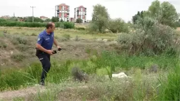 Aksaray'da Av Tüfeği ile Köpek Öldüren Şahıs Yakalandı