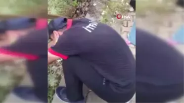 Tellere sıkışan yavru kediyi itfaiye kurtardı